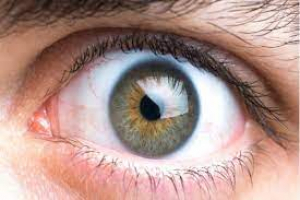 Eye Care: Make Five Habits Your New Year's Resolutions