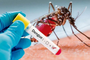 Let's join hands to prevent dengue: May 16 is National Dengue Day