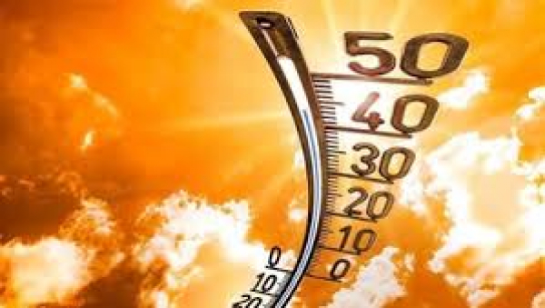 Record heat in Al Rabia, temperature reaches 51 degrees Celsius