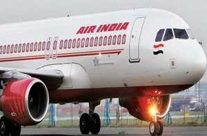 ants in air india business class flight