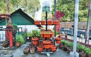 അര്‍ക്ക വെര്‍ട്ടിക്കല്‍ ഗാര്‍ഡന്‍