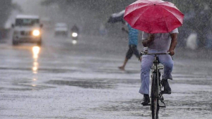 സംസ്ഥാനത്ത് ഇന്ന് വ്യാപക മഴയ്ക്ക് സാധ്യത; 12 ജില്ലകളിൽ മുന്നറിയിപ്പ്