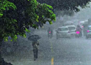 Summer rains are lashing various districts of the state.