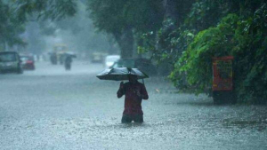 മഴ ശക്തമായി ; പത്തനംതിട്ടയിലും കോട്ടയത്തും വെള്ളം കയറി, 9 ജില്ലകളിൽ യെല്ലോ അലർട്ട്