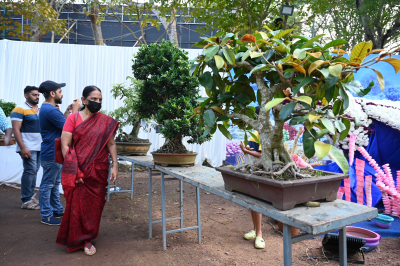 Urban Spring; Bonsai exhibition with the green world inside