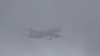 Heavy fog: Road traffic and flight services are in crisis in Kochi