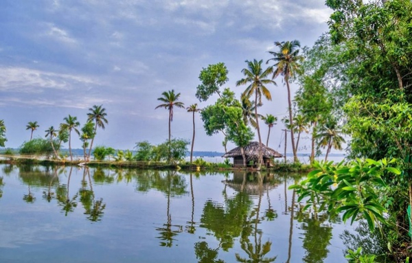 മാലിന്യമുക്തം നവകേരളം: ജൂൺ അഞ്ചിന് തദ്ദേശ സ്ഥാപനങ്ങളിൽ ഹരിതസഭ