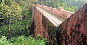 Order to cut down 15 trees, shrubs and saplings on leased land near Mullaperiyar Baby Dam canceled