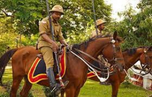 Police cavalry, state-of-the-art robotics show: My Kerala Mega Mela hides cool surprises