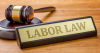 Labor Code :State Workshop Today(02.07.2022) at Thiruvananthapuram