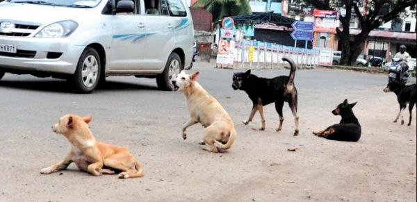 170 ഹോട്ട്‌സ്‌പോട്ട്‌ ; കൂടുതൽ തിരുവനന്തപുരത്ത്‌ ; വാക്‌സിനേഷൻ യജ്ഞം  ഇന്ന് തുടങ്ങും