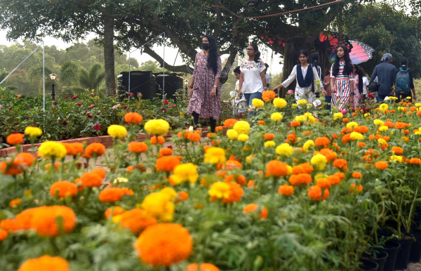 Urban Spring: First day of crowding