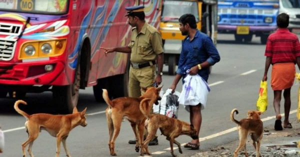 മൃഗങ്ങളുമായി ഇടപഴകുന്ന ജീവനക്കാര്‍ക്ക് സ്‌പെഷ്യല്‍ വാക്‌സിനേഷന്‍